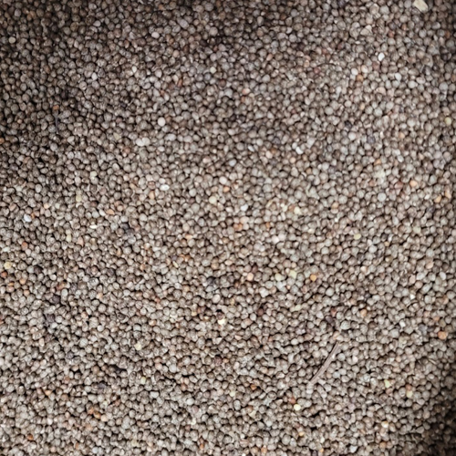 25년 햇들깨( 1kg ) 청주시 미원면 팜넷들깨 ,통들깨,토종